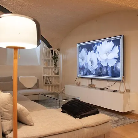 Charme Rare Sous Les Voutes Royat